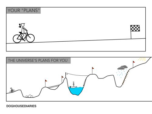 Your plans vs the universe's