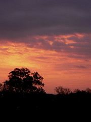 Arlington sunrise, 11/16/06
