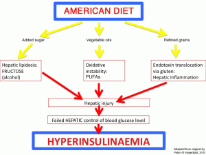 American diet leads to hyperinsulinemia