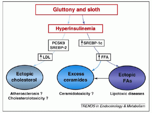 Slide from original study