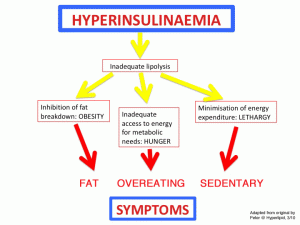 Excess insulin leads to accumulated fat, overeating, and sedentary behavior.