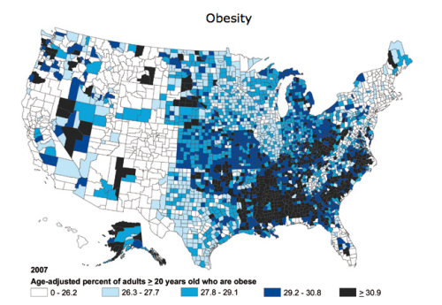 Obesity rates by state
