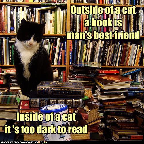 LOLcat 