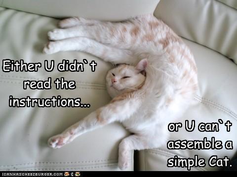 LOLcat photo