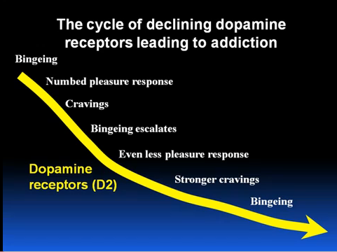 cycle of addiction
