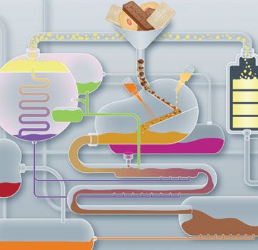 'Metabolism' by Vicky Summersby