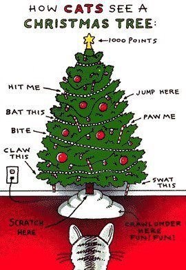 xmas