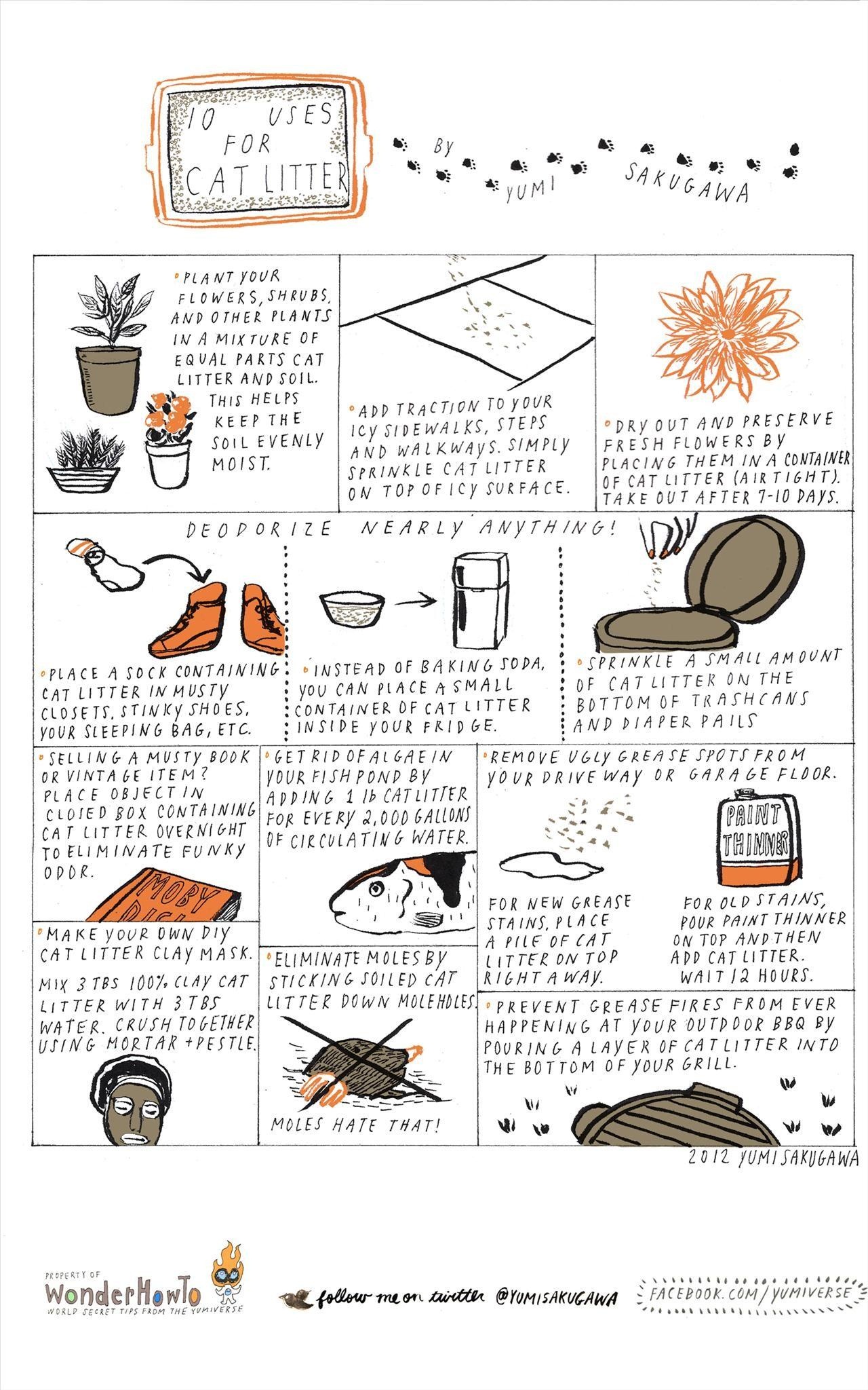 10 Helpful Non-Kitty Uses for Cat Litter