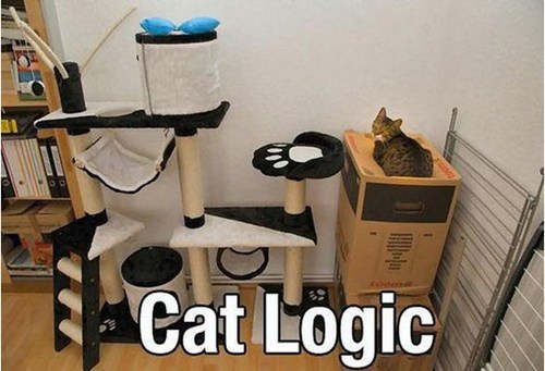 Cat logic