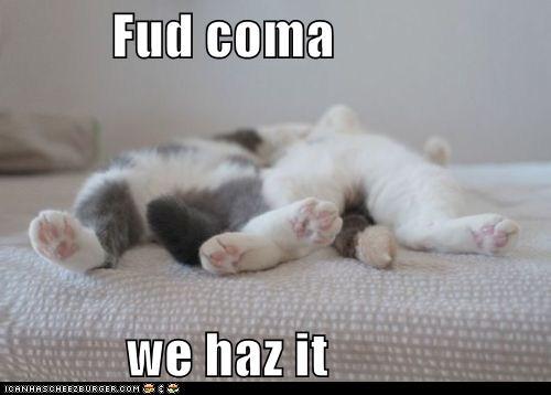 fud-coma