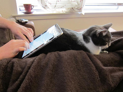 iPad stand