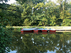 Rowboats