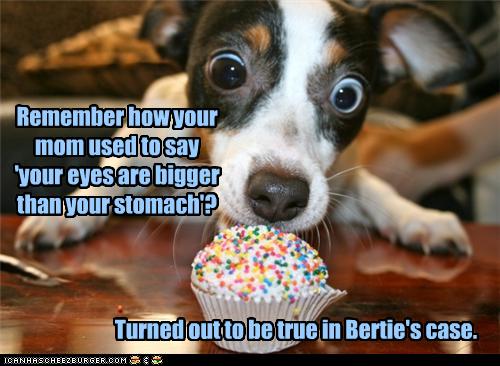 Remember how your mom used to say 'your eyes are bigger than your stomach'?